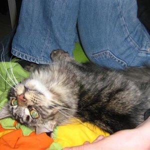 Nelly mit ihrem besten Freund :D