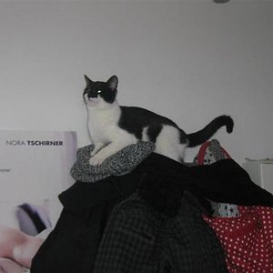 Lina als Gipfelstürmer