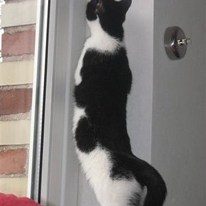 Ob man an der Seite rauskommt?