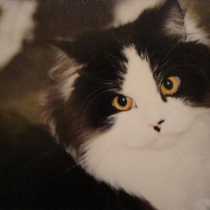 Merlin 01.05.1999 - 21.09.2009