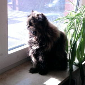 Mal ausschau halten.....