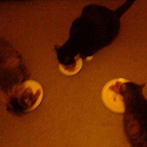 Eines der seltenen friedlichen Momente :)