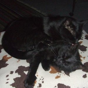 DSCF4332 [640x480] [640x480]