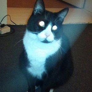 gott wollte mich mal wieder bekehren hähähäh