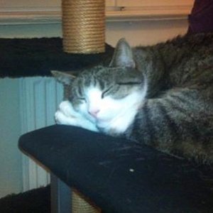 einer meiner liblings hobbys