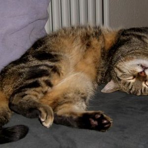 wie kann man so schlafen?