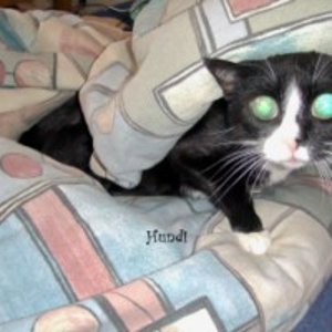 bettchen.hundi [320x200]