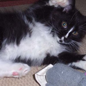 Und mit drei Monaten