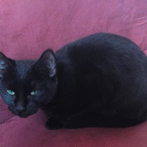 Ach lasst mich doch schlafen