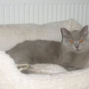 So... endlich kann ich hier mal ins Nestchen XL.