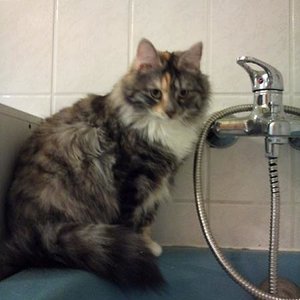 Püppi muss immer beim Baden dabei sein