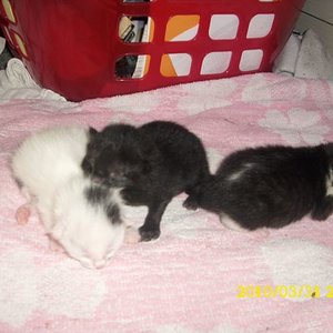 alle schön durcheinander