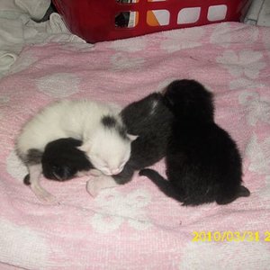 ein kleiner Haufen Glück