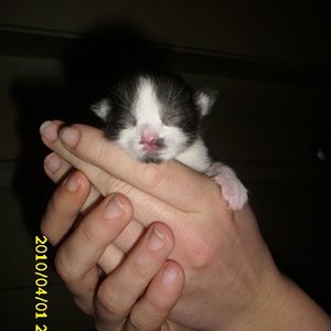 nach so schönen Pobildern auch mal der, die Süße von vorn