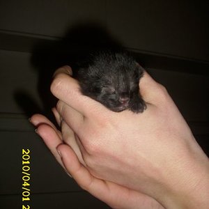 nach so schönen Pobildern auch mal der, die Süße von vorn