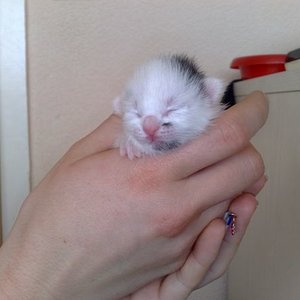 und weiß nochmal von vorn