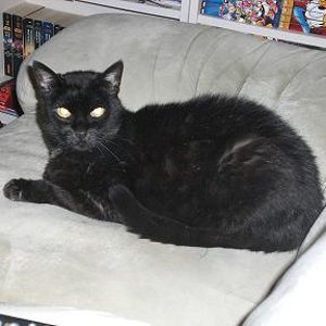 So das ist Judith. Sie ist schon 20 Jahre alt