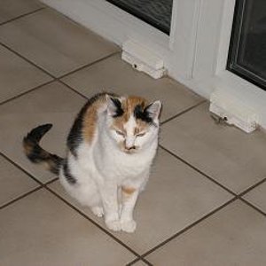 So das ist Speedy. Sie ist schon 14 Jahre alt.