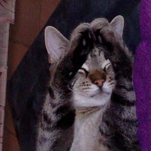 so schläft mein max,ist der nicht süüüüß