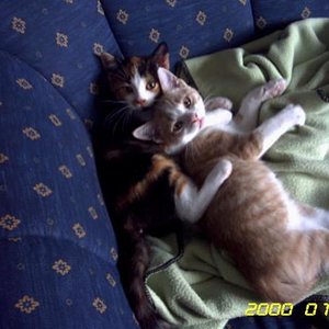 0001011200004 (Small)