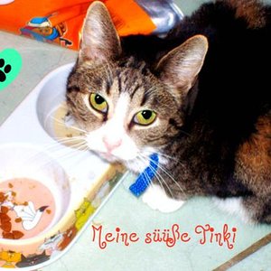 Das ist die meine Tinka ..
Soo niedlich..