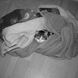 ich bau mir eine höhle..