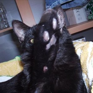 Nein bitte keine Bilder mehr :D