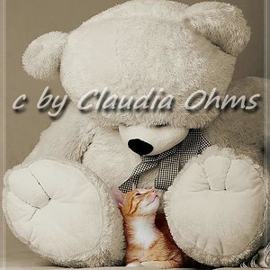 Filou wurde mit nur 6 monaten von einem Auto überfahren :-(
In unseren herzen lebt er weiter