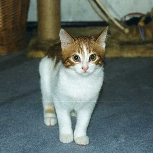 Da war er noch klein.