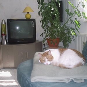 Das ist auch schon lange her, aber so sieht er noch aus:-).