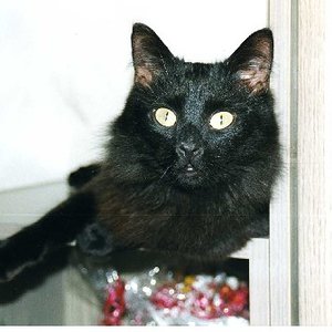 nochmal mein geliebter unvergessener Moritz.