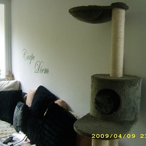 Wo hat sich Clarky O`Connor versteckt