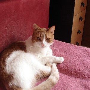 Mein Mäxchen heute...