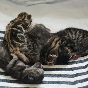 die noch namenlosen Racker mit einem Tag :)