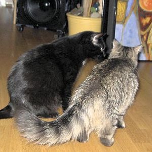 ..wetten ich bin schneller??