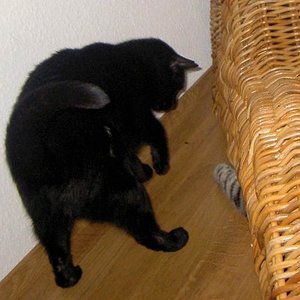 ..komm raus oder ich hol dich..