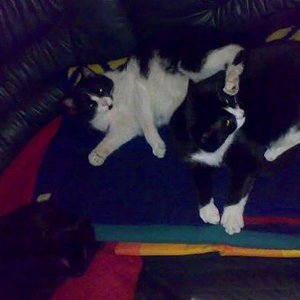 Mama und ihre beiden Jungs