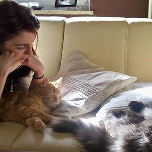 Charlie wollte Baghira dort unbedingt wecken...ich hab aber aufgepasst :D