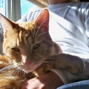 charlie ganz müde von der sonne