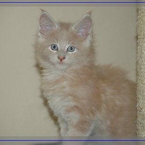 Fabio kommt mitte juni