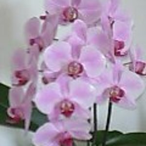 pfose+ihre 4 16.4.10 018