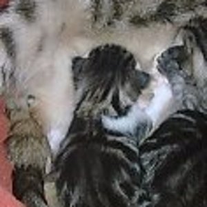 pfose+ihre 4 16.4.10 015