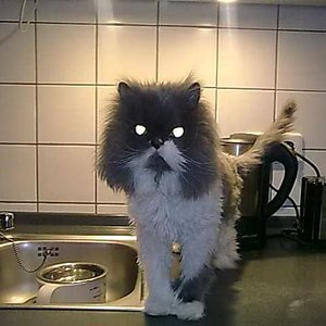 immer in der Nähe des Wassers