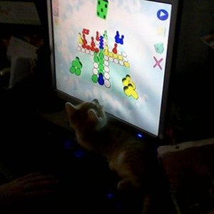 4400984 1248338876316l