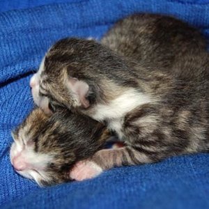 T shirt und Pullover 2. Tag