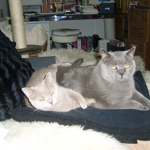 Clarky und Emira kuscheln