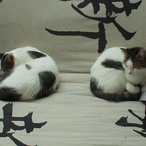 Sinus+Jerry - kaum einer kann sie auseinanderhalten ;)