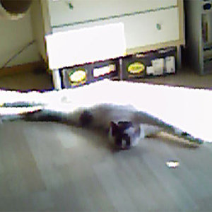 Sinus - so liegt es sich bequem