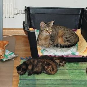 die ganze Family bei der Box