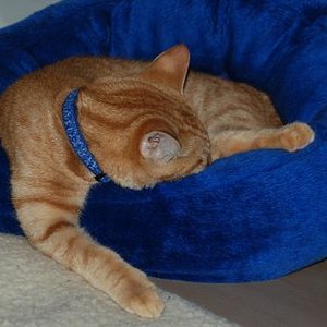 auch Papa sein macht müde :-)